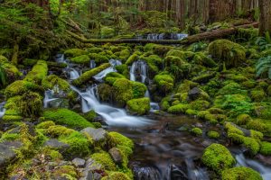 Running creek with blur with waterfall. Stock Photography Free for Commercial Use.