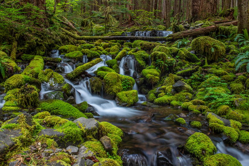 Running creek with blur with waterfall. Stock Photography Free for Commercial Use.