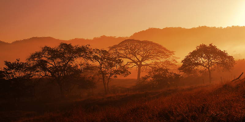 Image of exotic arid landscape. Stock Photography Free for Commercial Use.